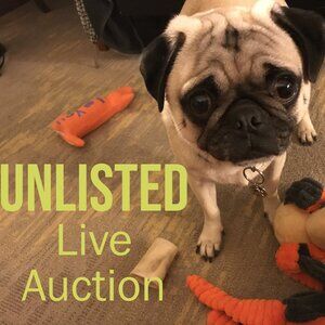 UNLISTED Live Show Item